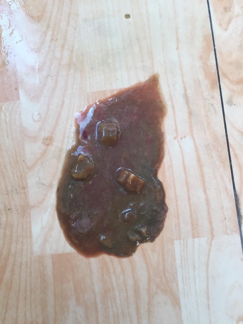 狗狗拉稀黏稠带血