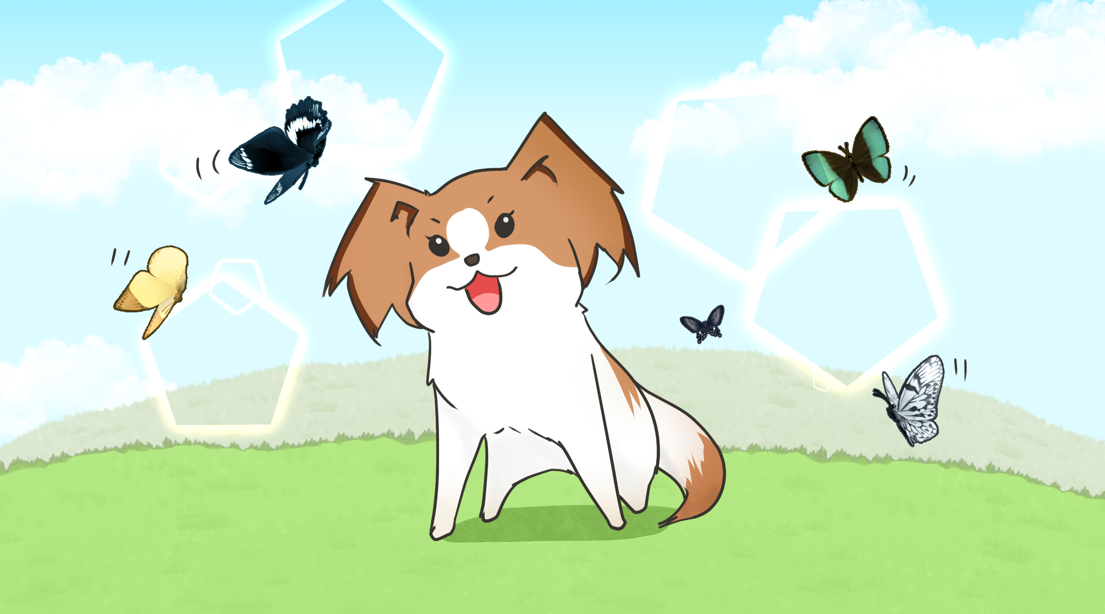 蝴蝶犬:聪明 颜值,逆天了
