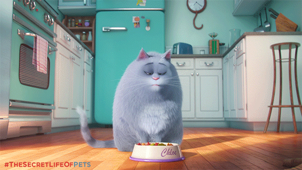thesecretlifeofpets.com
