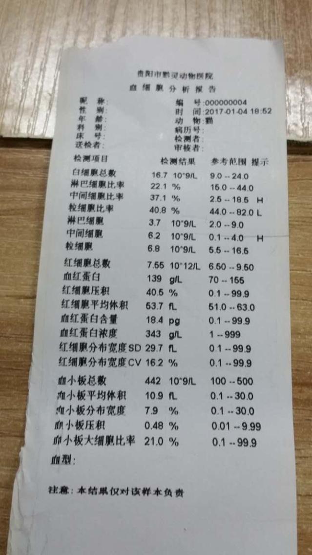 有肾病病史 尿血 喜欢舔屁屁 有肾病病史 尿血 喜欢舔屁屁