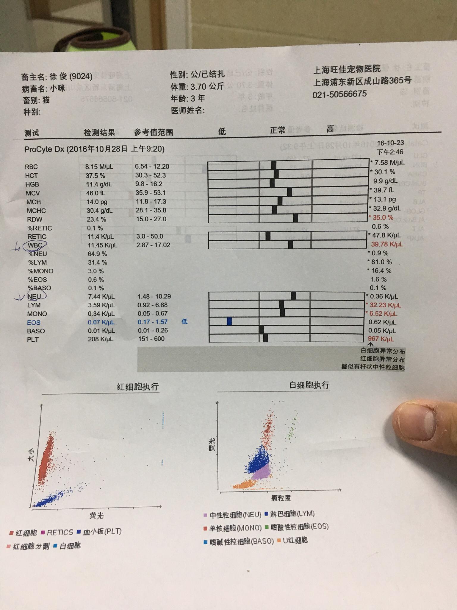 9° 血常规 生化 猫瘟试纸和疫苗抗体检测如图 那里的医