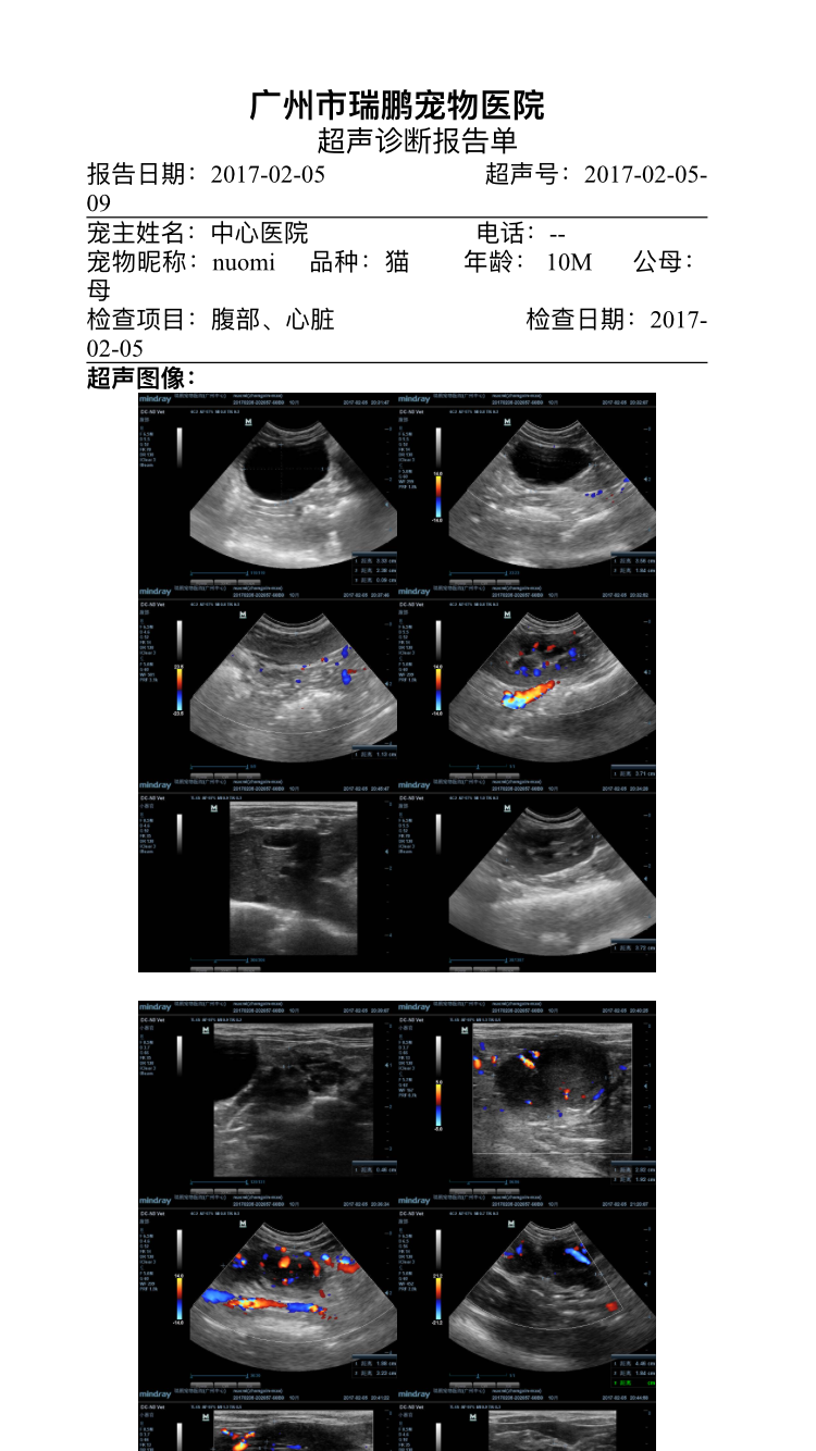 帮我看一下我家猫的超声报告单结果