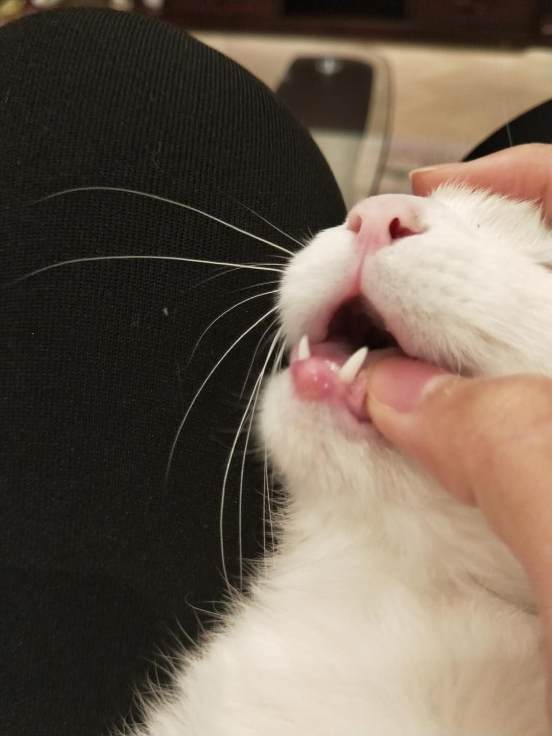 嘴肿了