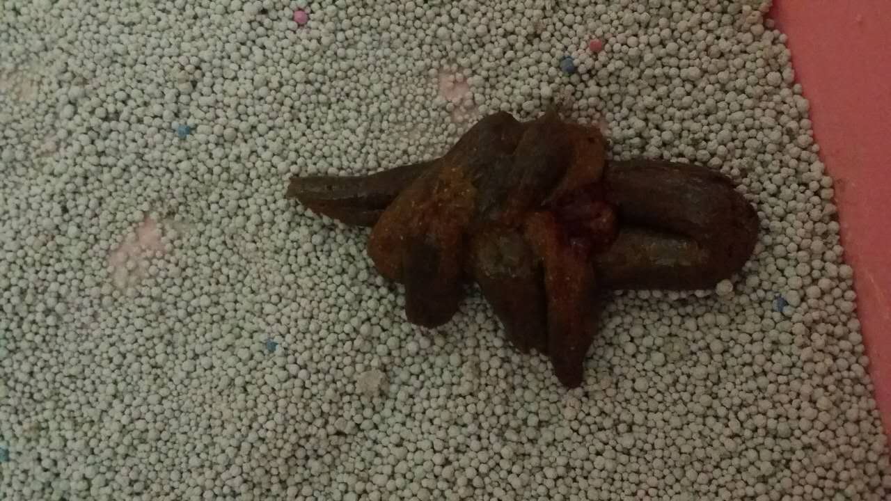梦见地上有血，预示与解析的深层梦境
