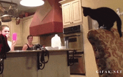 哎呀呀,就差一点点了 source:reddit.