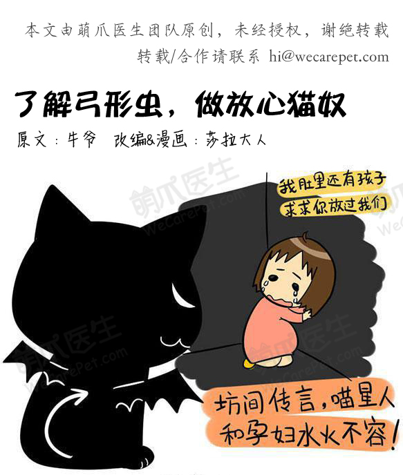 漫画| 了解弓形虫,做放心猫奴