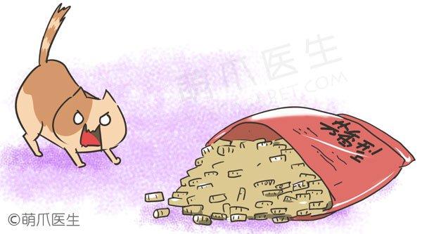差评!破坏猫咪如厕体验的五大错误 差评!破坏猫咪如厕体验的五大错误