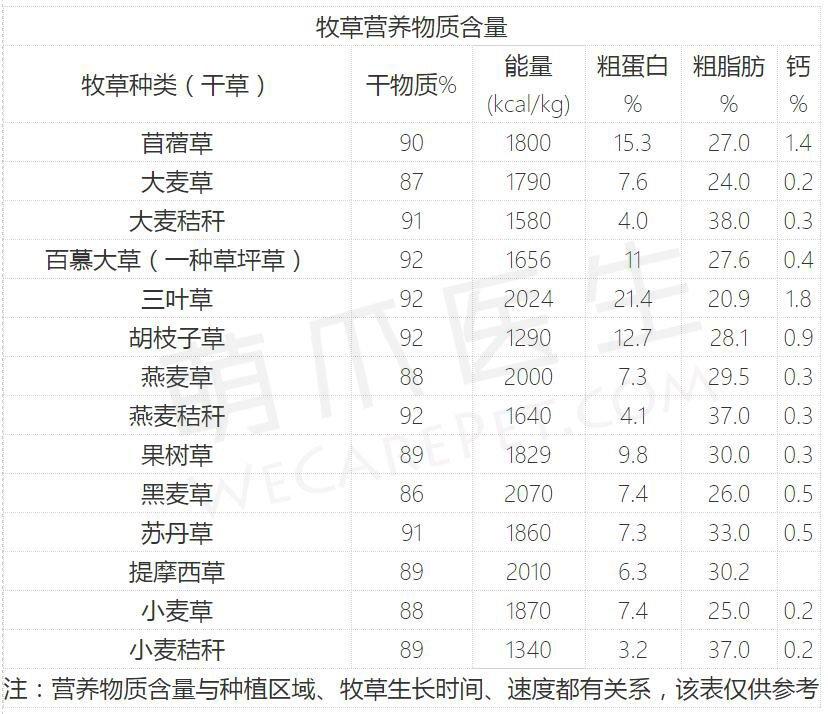选购兔粮和牧草 选购兔粮和牧草