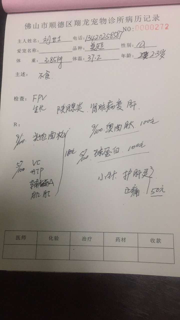 今晚带他去兽医处检查说可能得了胰腺炎,体温只有37
