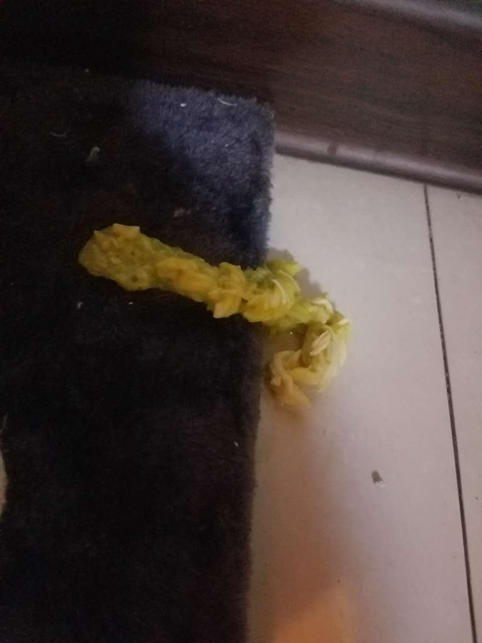 呕吐