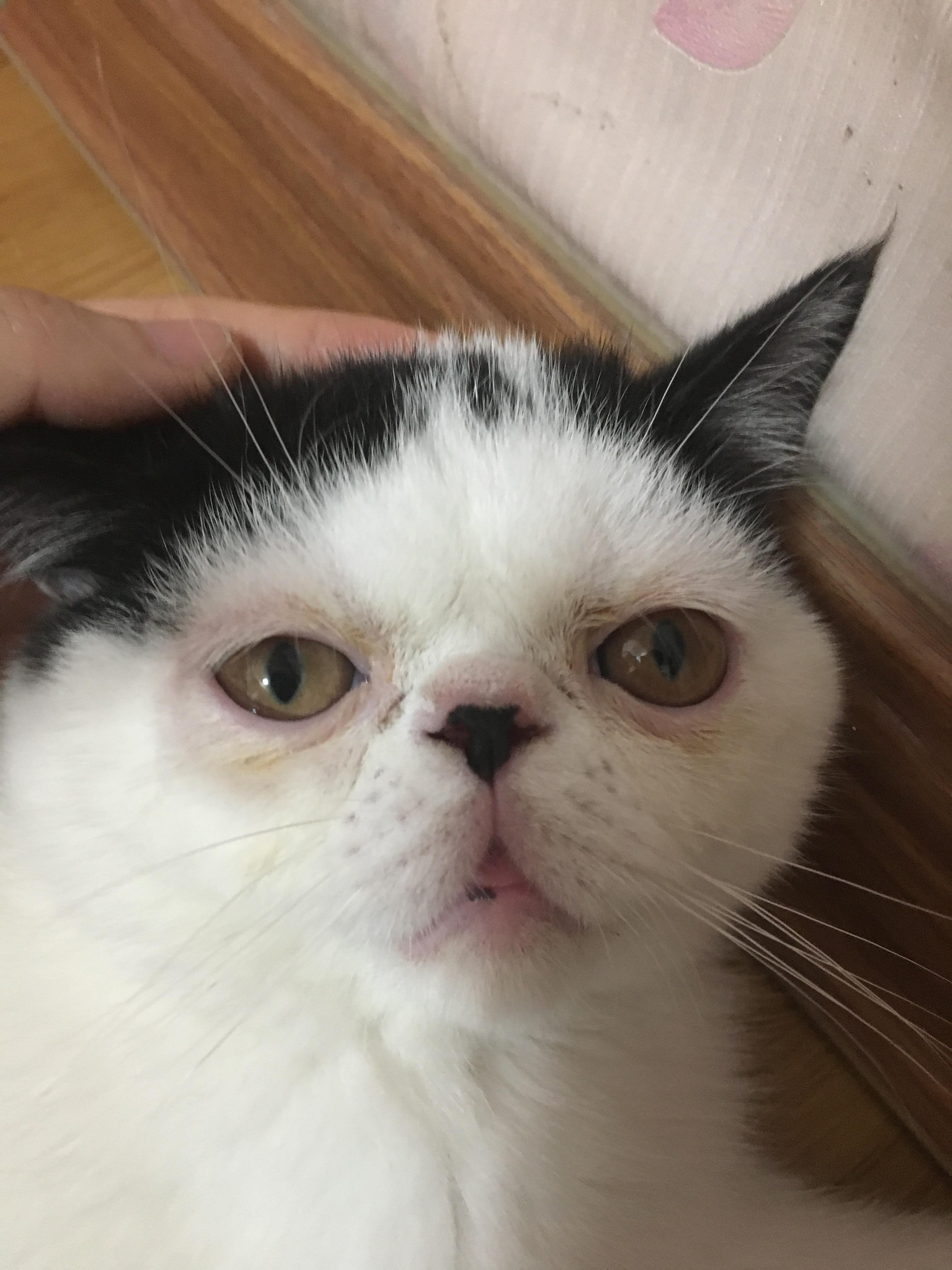眼睛红肿