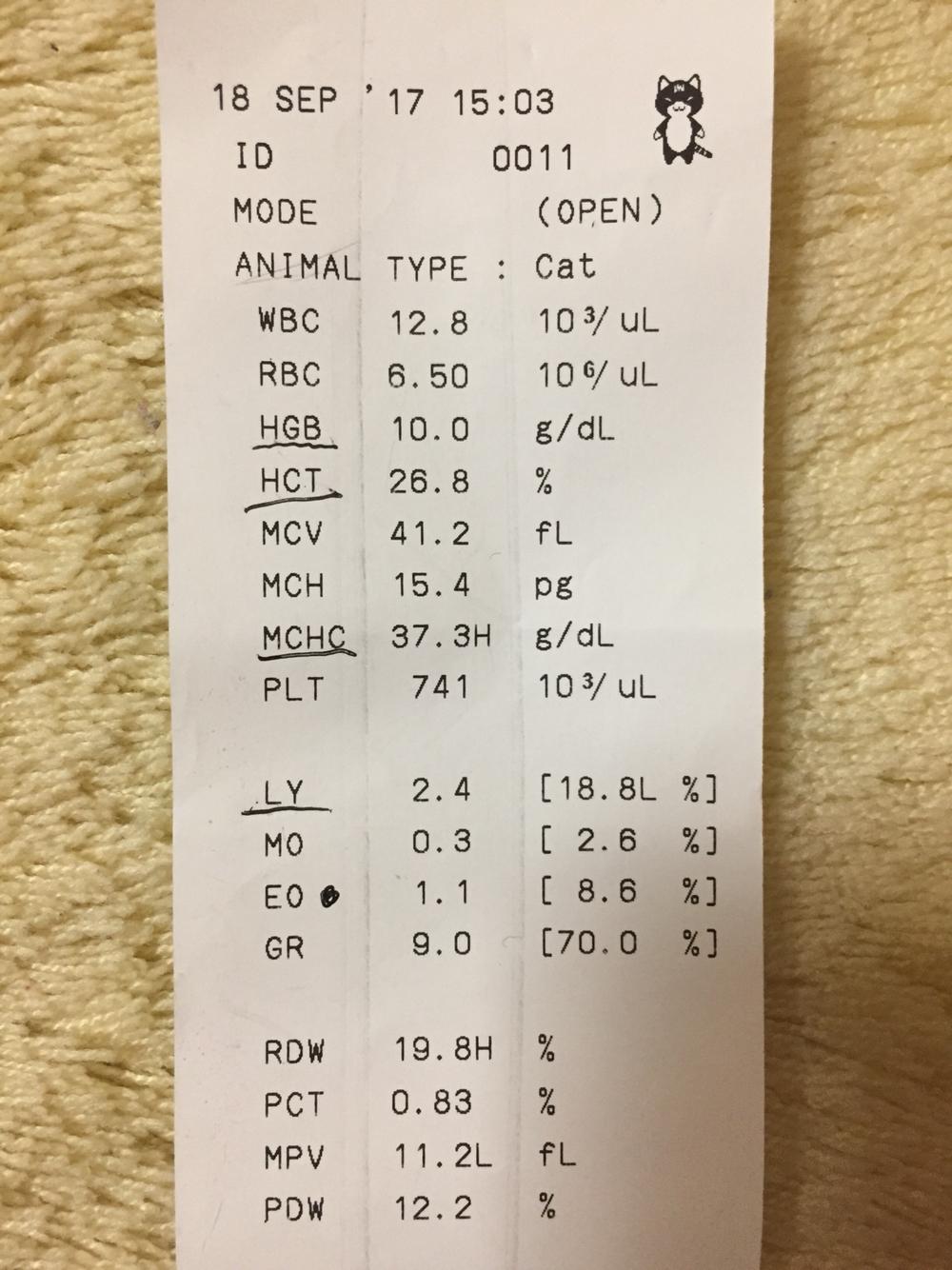 眼睛分泌物多红肿,打喷嚏 眼睛分泌物多红肿,打喷嚏