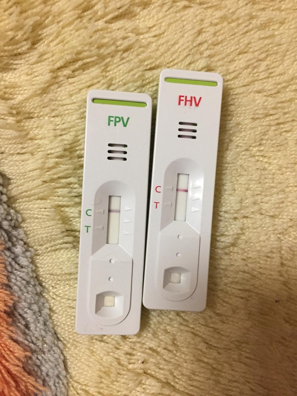 眼睛分泌物多红肿,打喷嚏 眼睛分泌物多红肿,打喷嚏