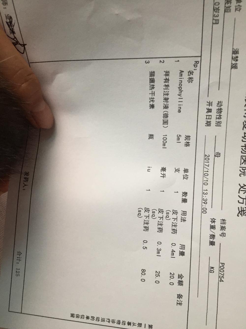 猫咪便血 猫咪便血
