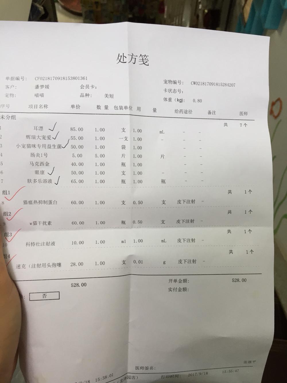 猫咪便血 猫咪便血