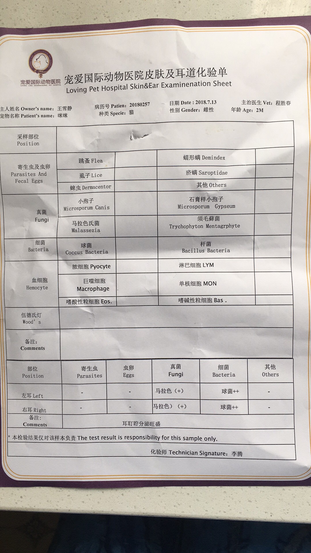 新宠到家 新宠到家