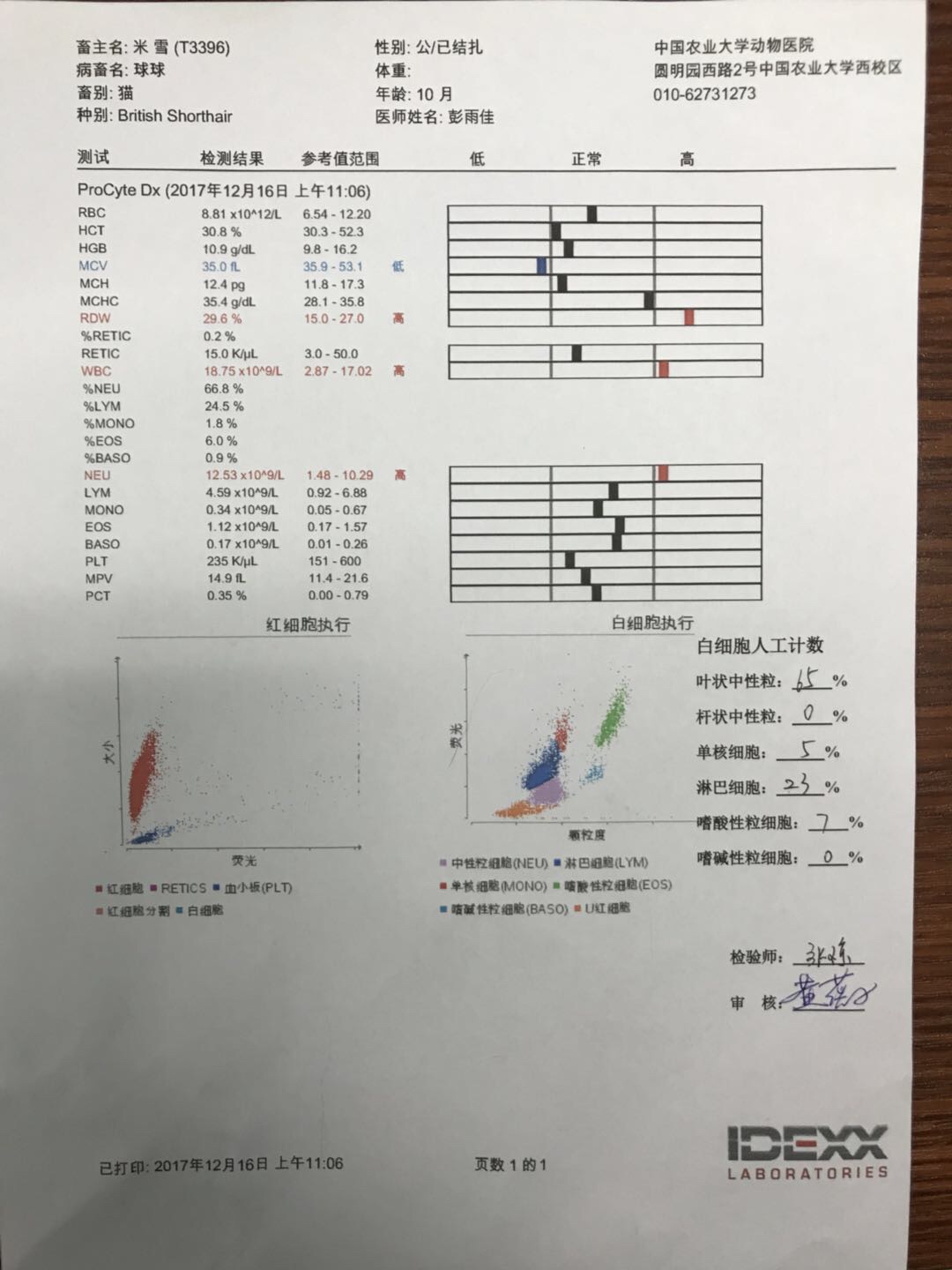 猫用速诺后白细胞增多,去医院后未查明原因 猫用速诺后白细胞增多,去医院后未查明原因