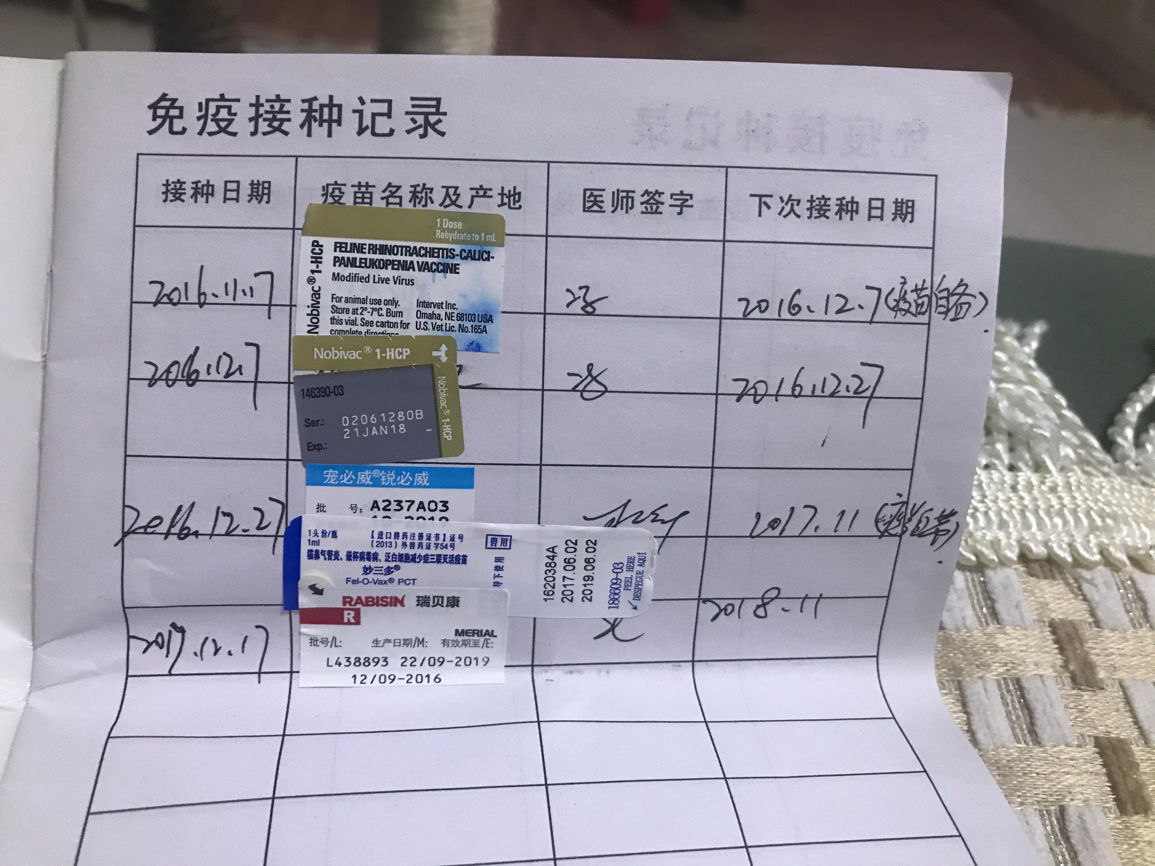 为什么猫会突然攻击主人? 为什么猫会突然攻击主人?
