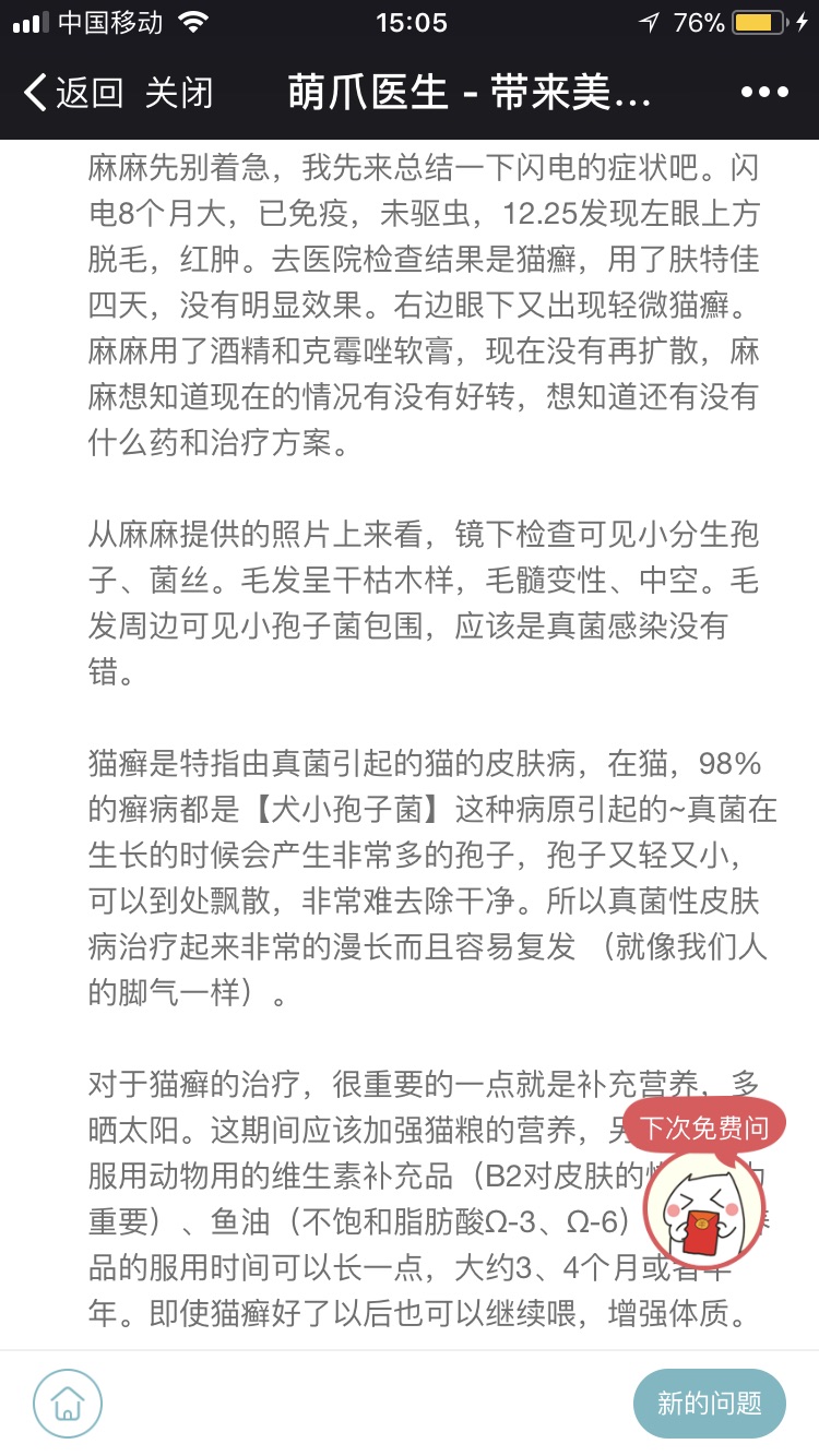猫癬 猫癬