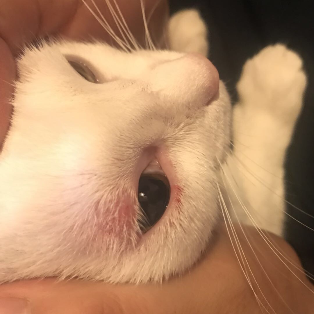 ҵè۾,Щë,᳣ˮʺܶ,