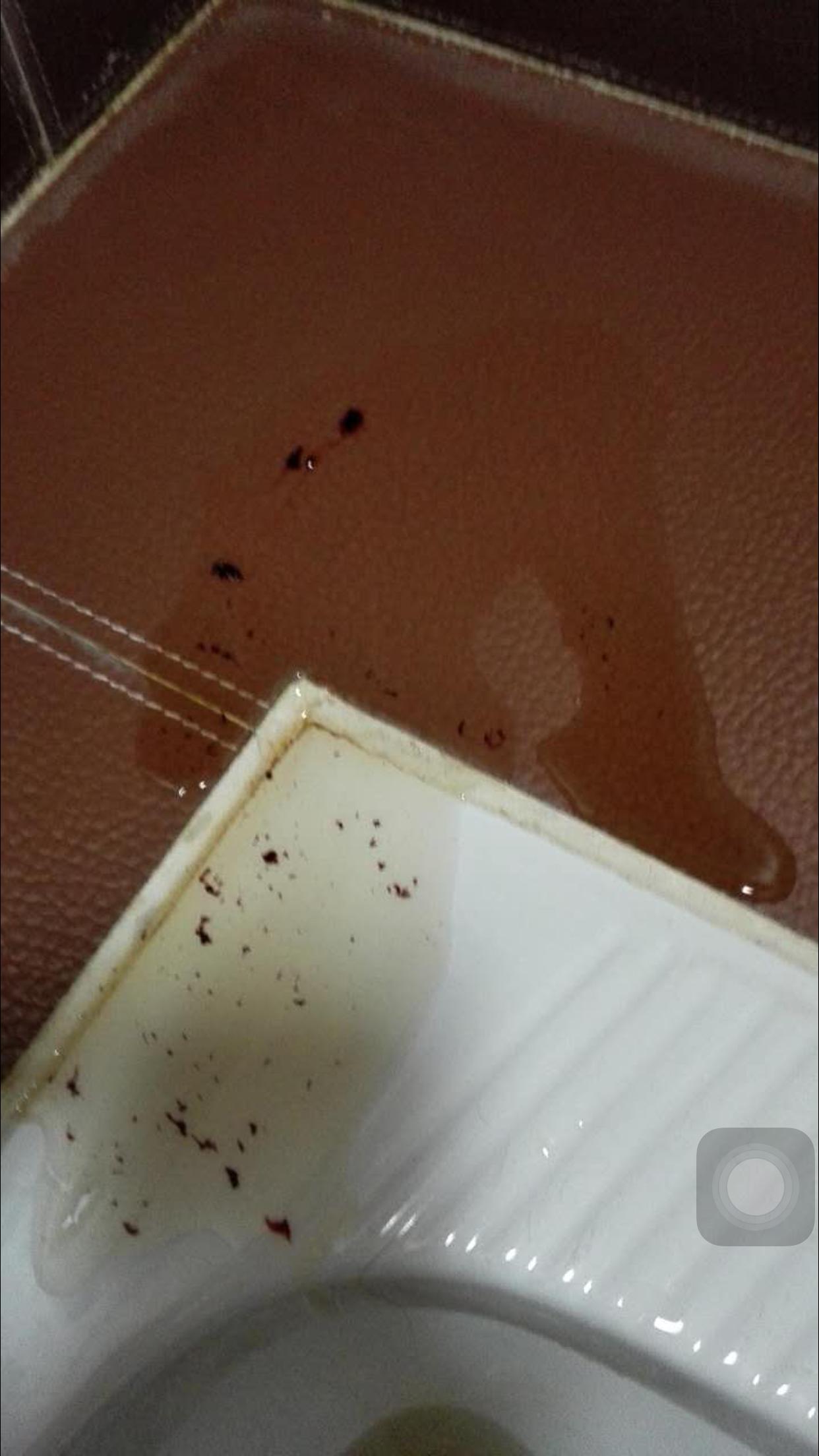 狗狗尿血了 狗狗尿血了