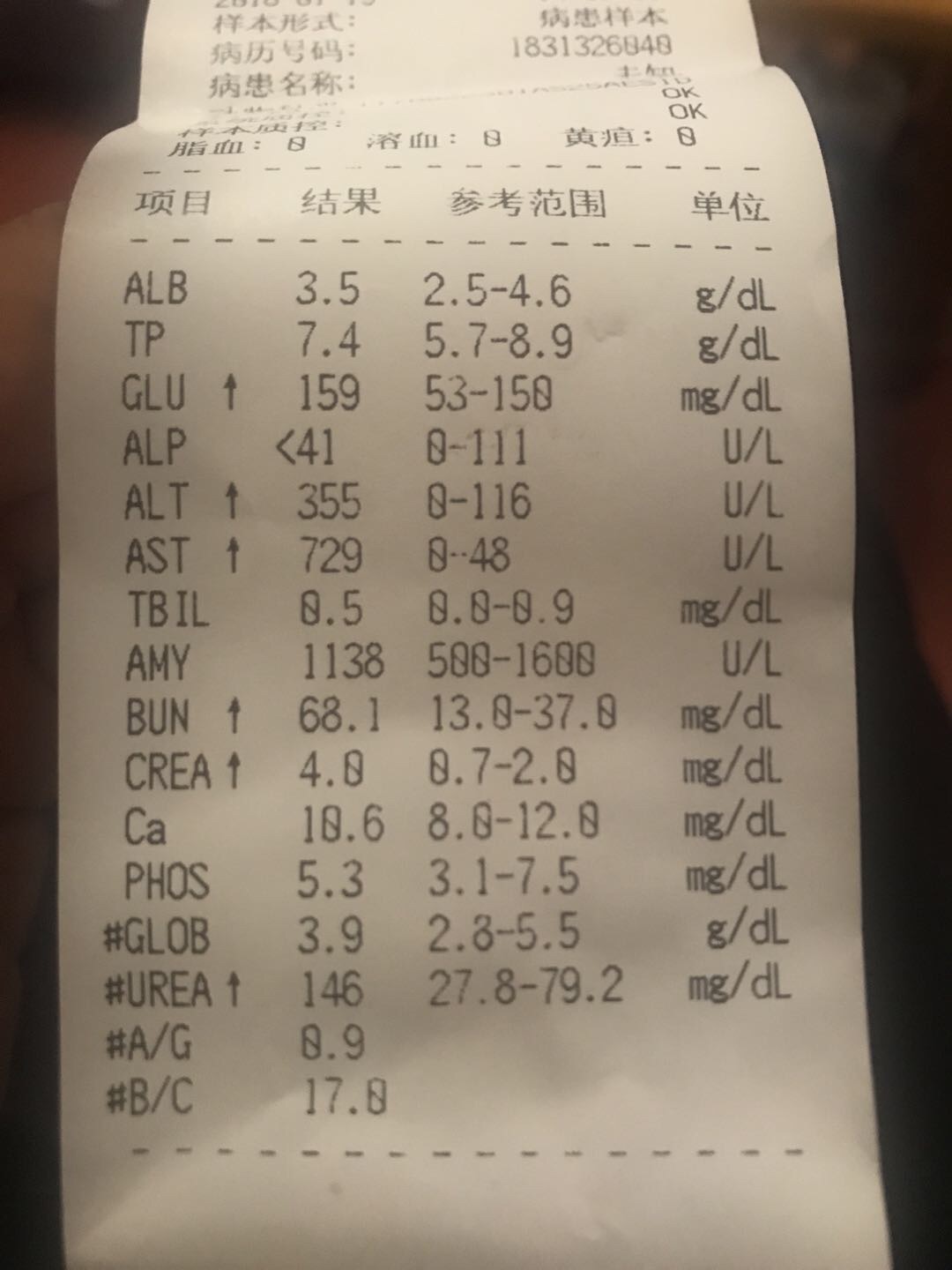 猫咪尿频尿多,生化检查出来AST过高,求治疗建议。 猫咪尿频尿多,生化检查出来AST过高,求治疗建议。