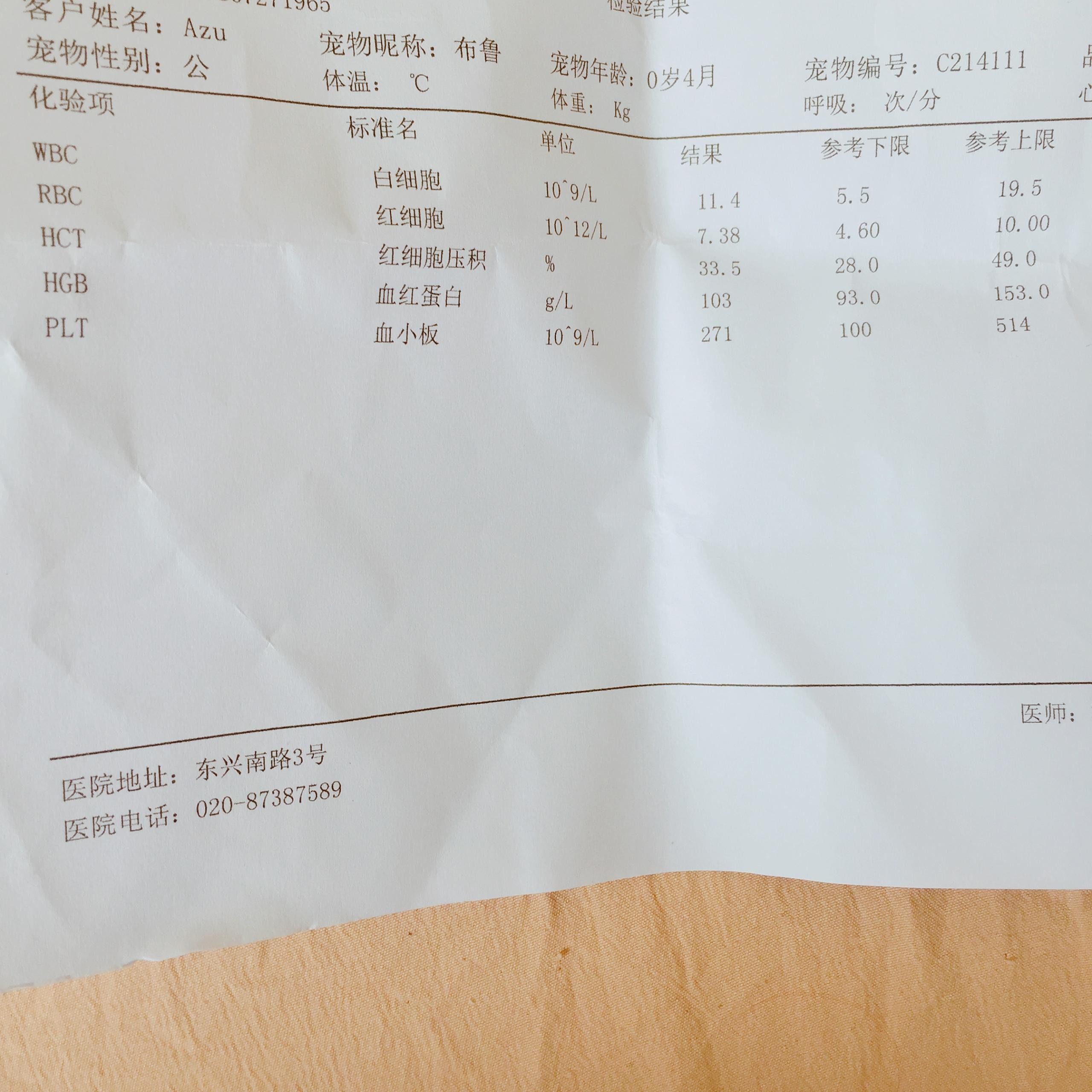 呼吸急促,持续腹泻,角膜水肿