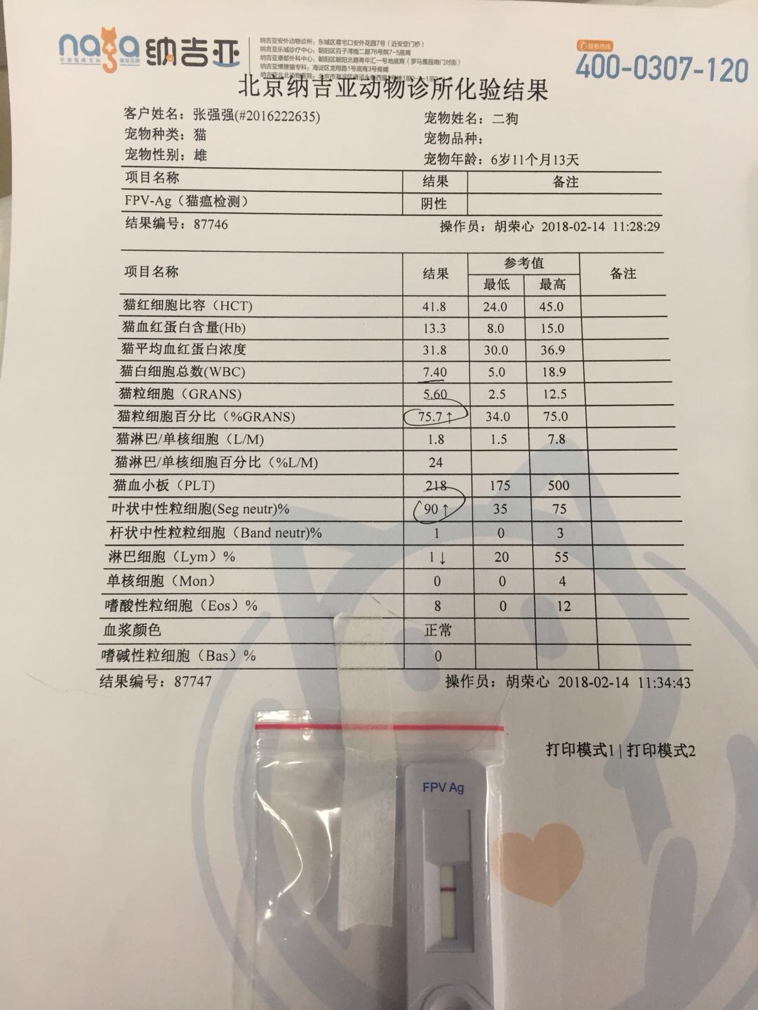 打过疫苗的猫咪呕吐,请问是否能排除猫瘟以及后续治疗方法 打过疫苗的猫咪呕吐,请问是否能排除猫瘟以及后续治疗方法