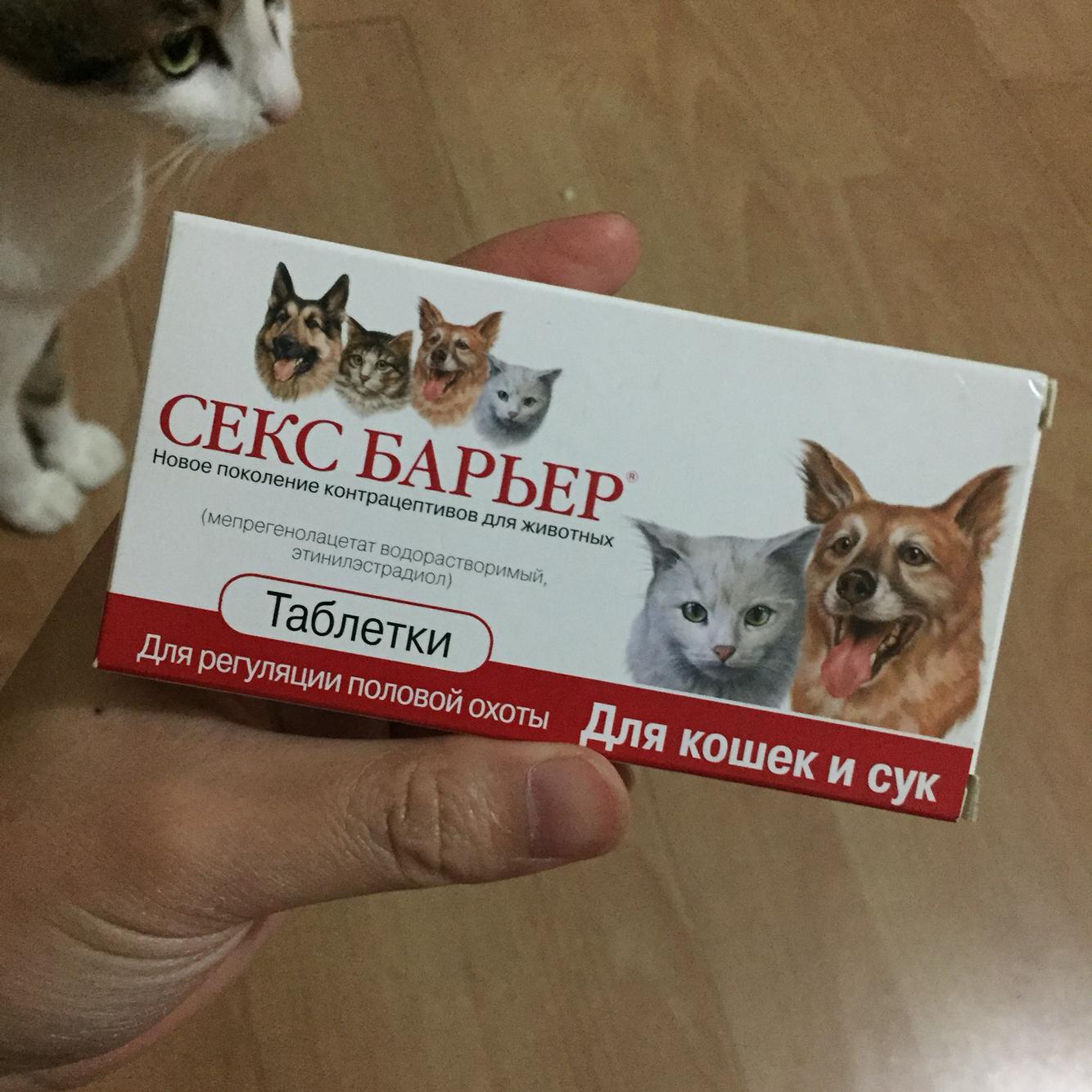 绝育后再次发情 绝育后再次发情