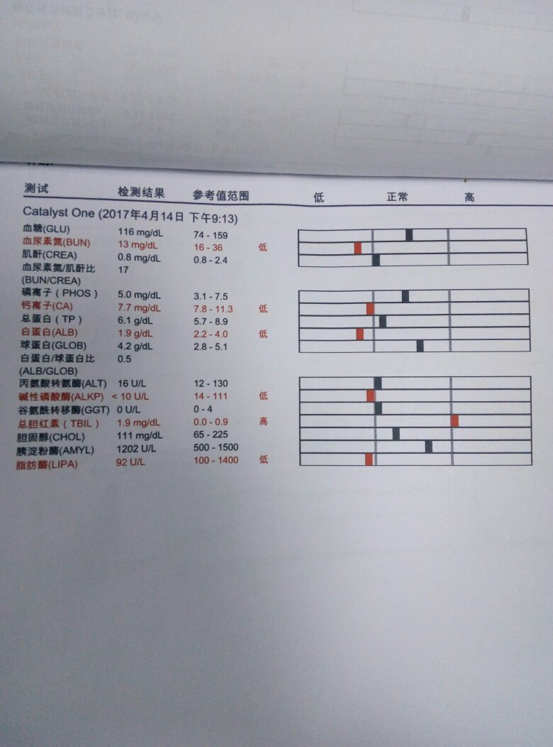 猫鼻支求救 猫鼻支求救