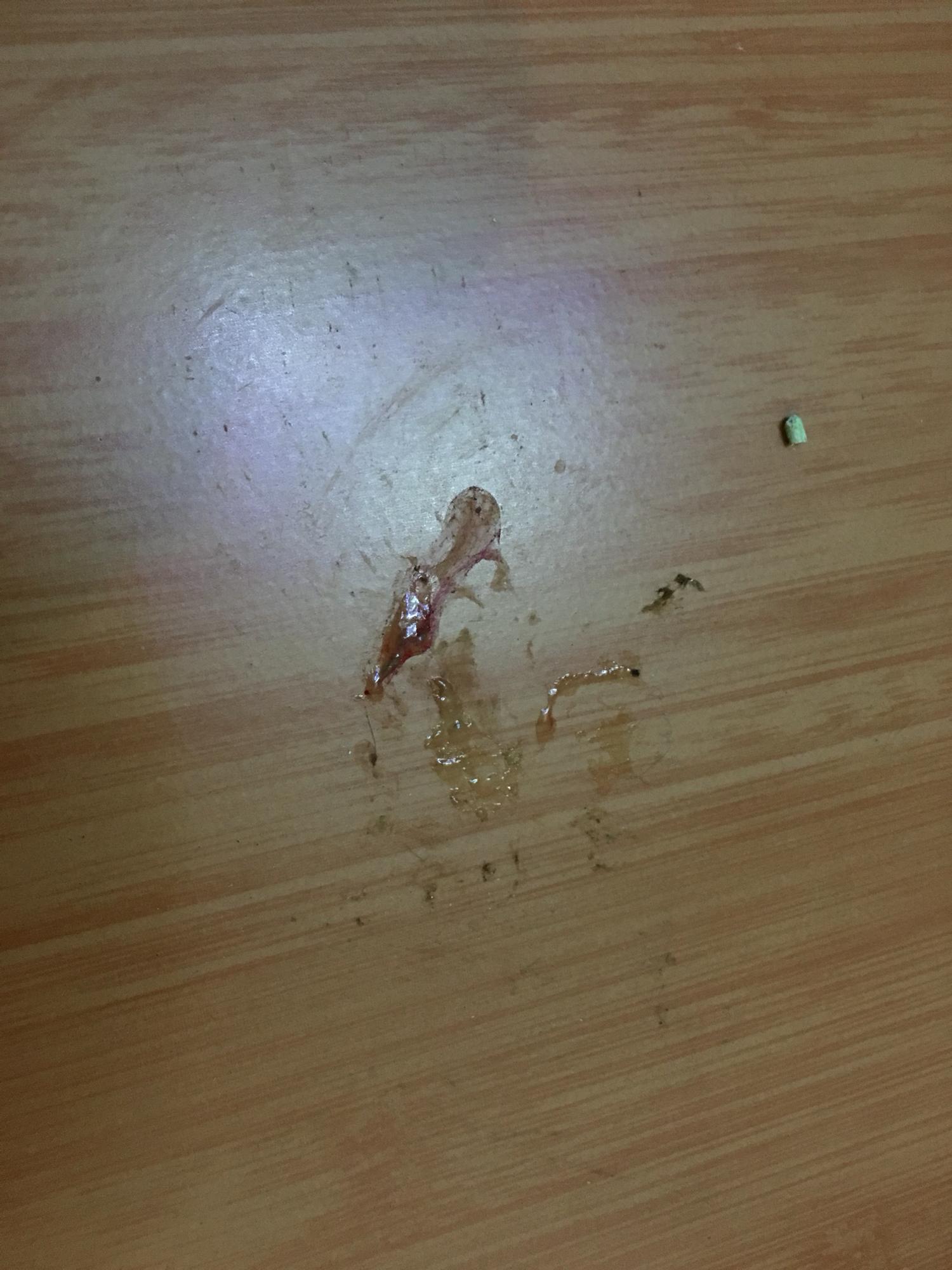 猫咪时不时地在地上拉粑粑,求破解