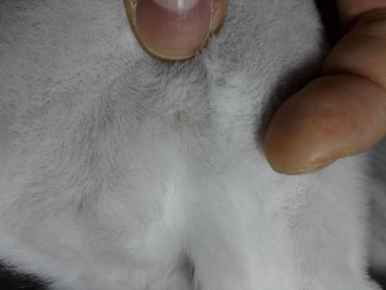 ͼƬͼƬ