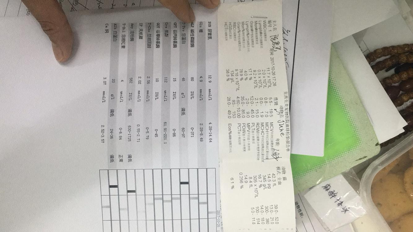 猫冠状