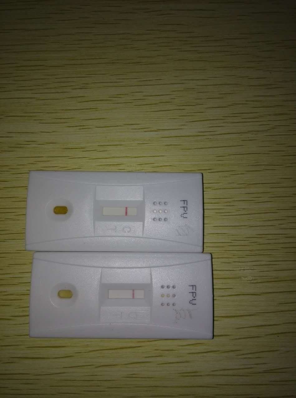 猫瘟实验弱阳性怎么办?