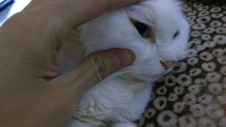急急急急急看我看我看我 急急急急急看我看我看我