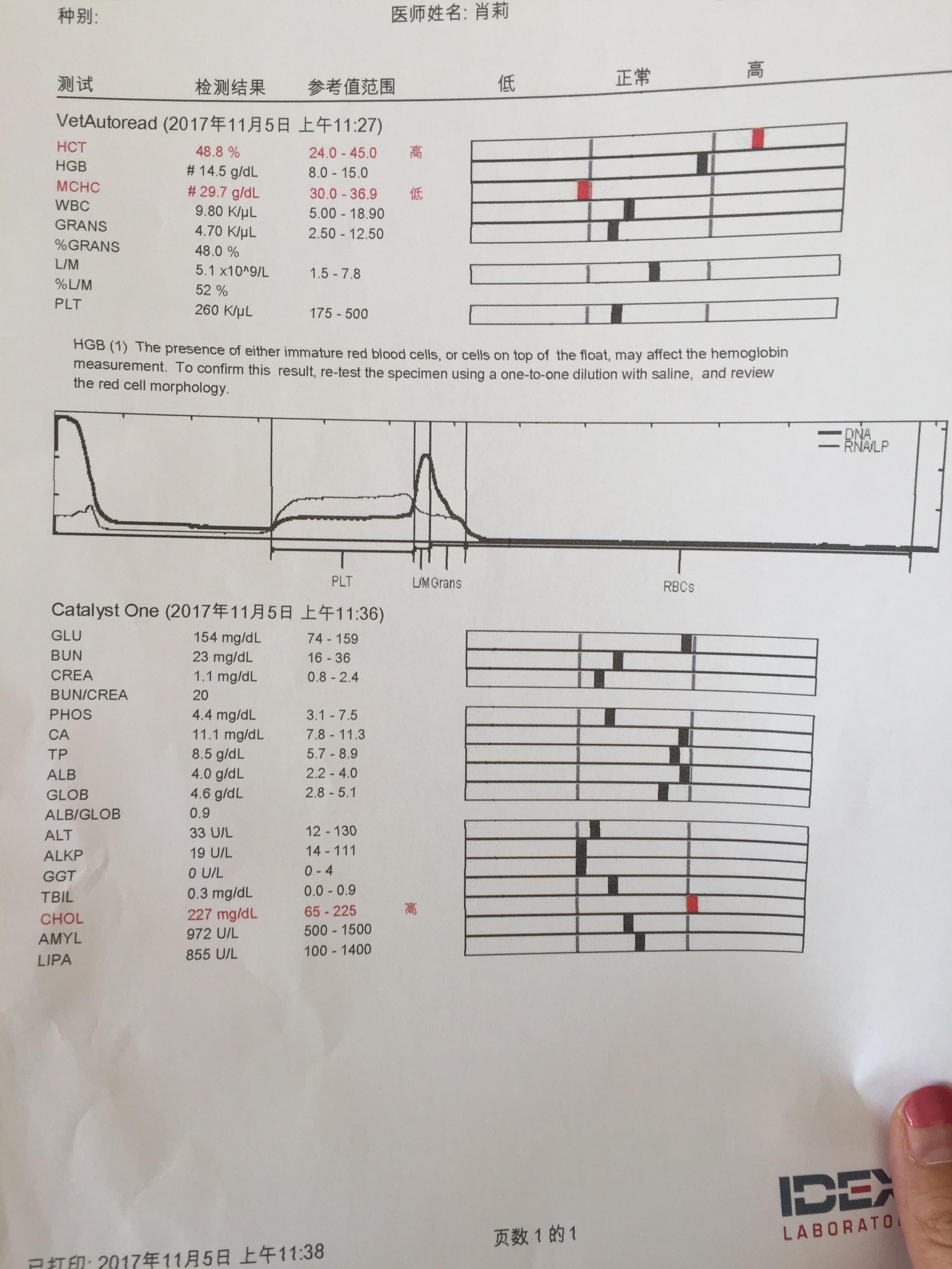 请帮我看下体检单,谢谢- 萌爪医生