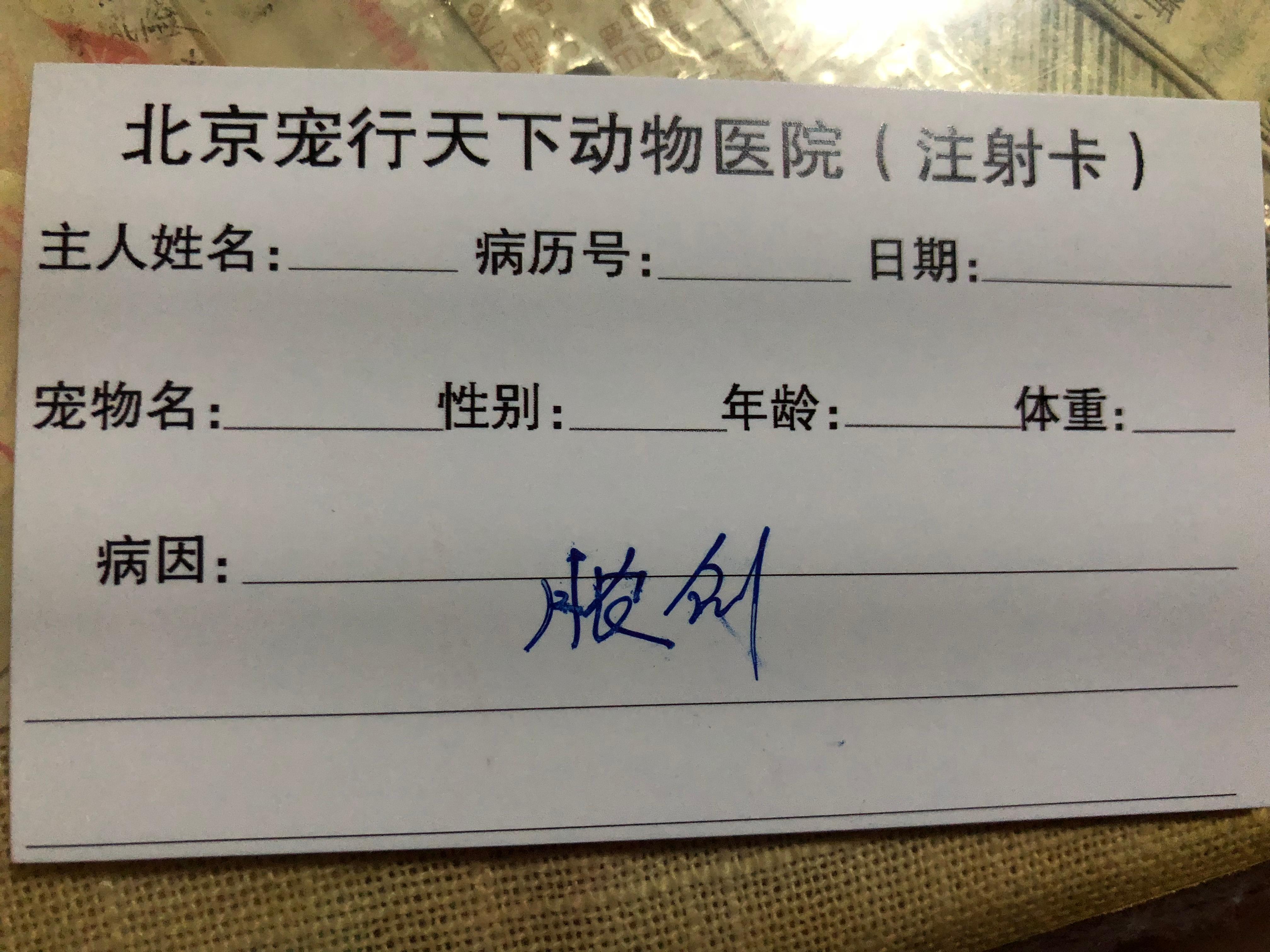 治疗期间食物营养 治疗期间食物营养
