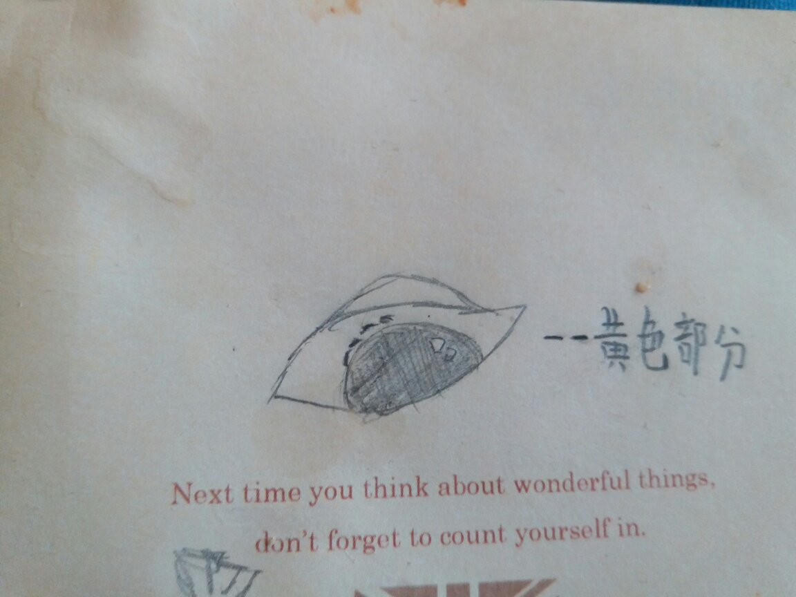 眼白部分发黄
