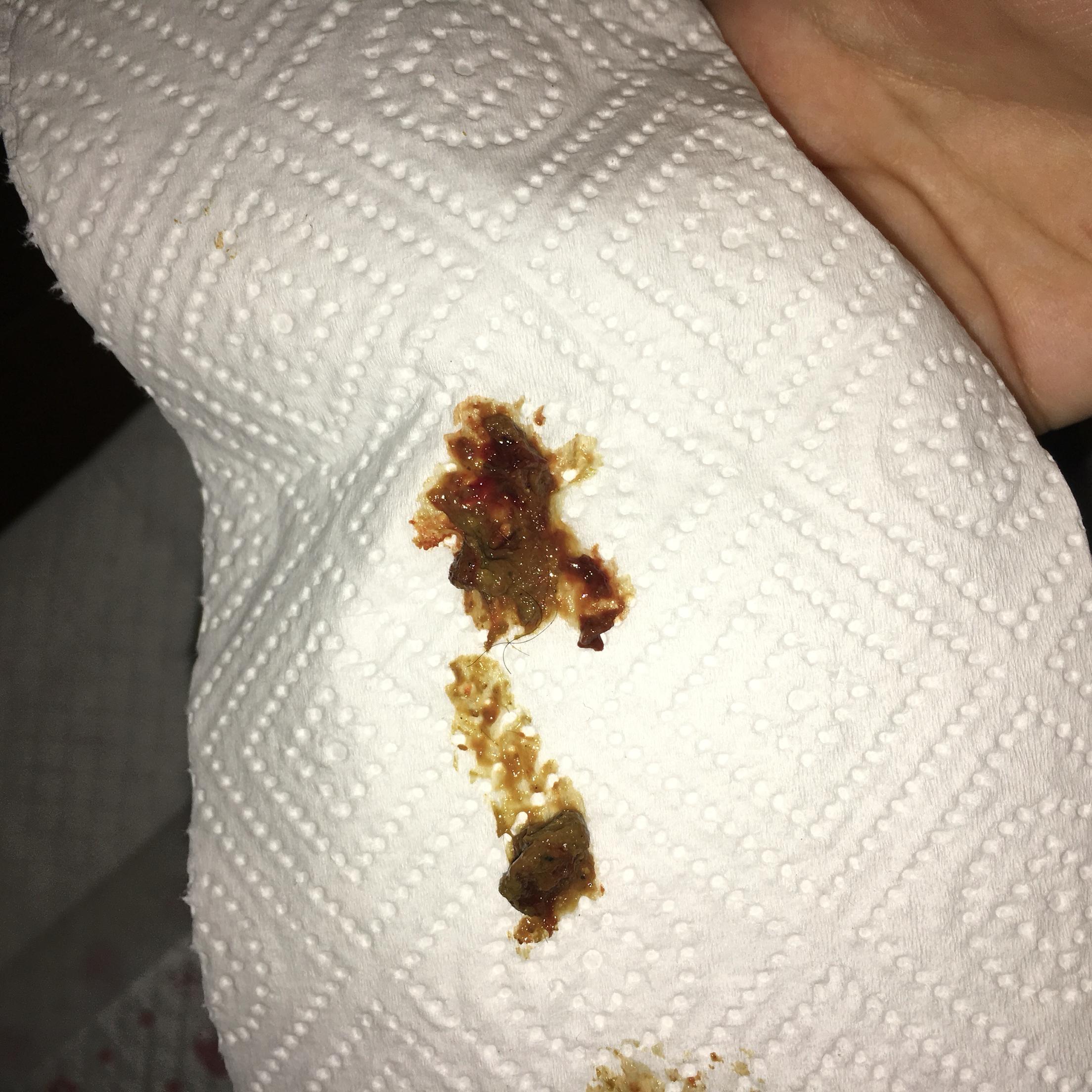 狗狗拉稀带血丝