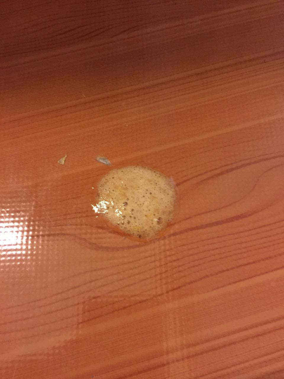 猫吐黄沫精神不振
