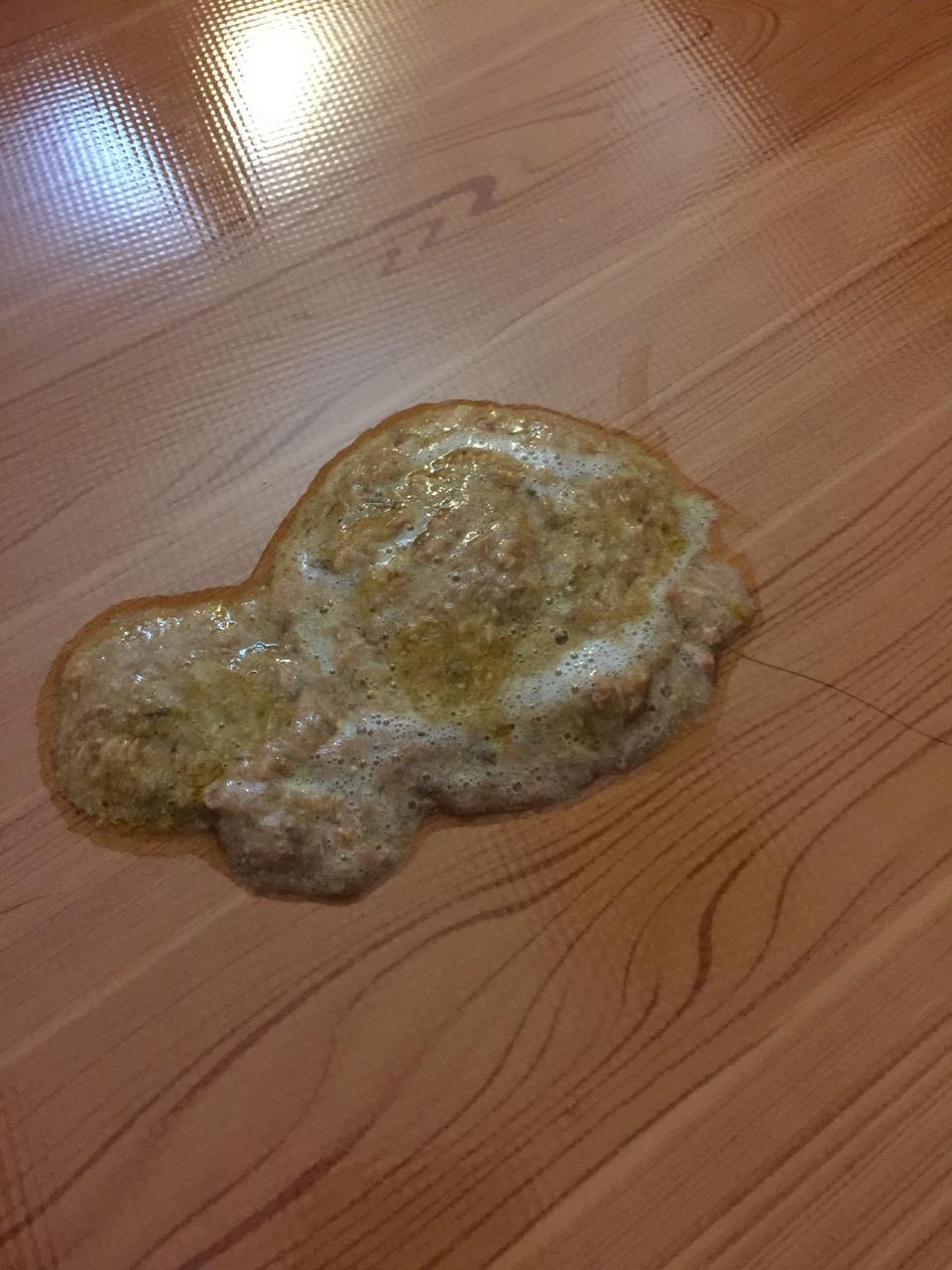 医生,昨天回到家后发现地上有呕吐物,一摊有少许泡沫